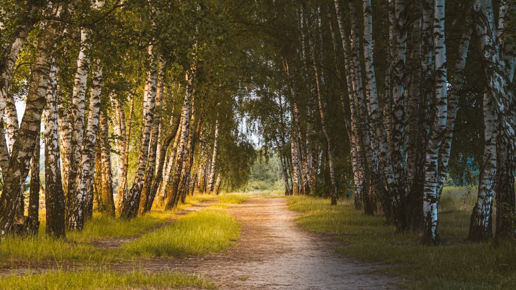 Uw laatste rustplaats op een natuurbegraafplaats?