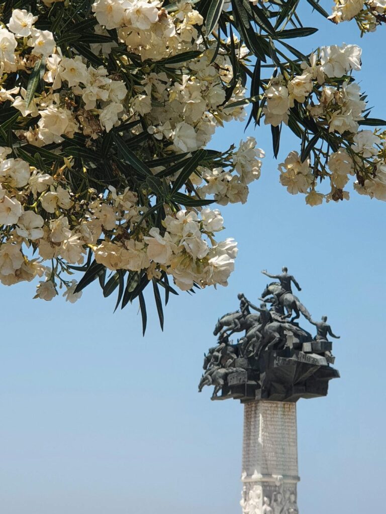 Oleander inpakken voor de winter op een veilige manier