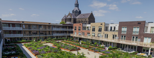 Koeler in de zomer, groener in de stad: dit levert een daktuin écht op