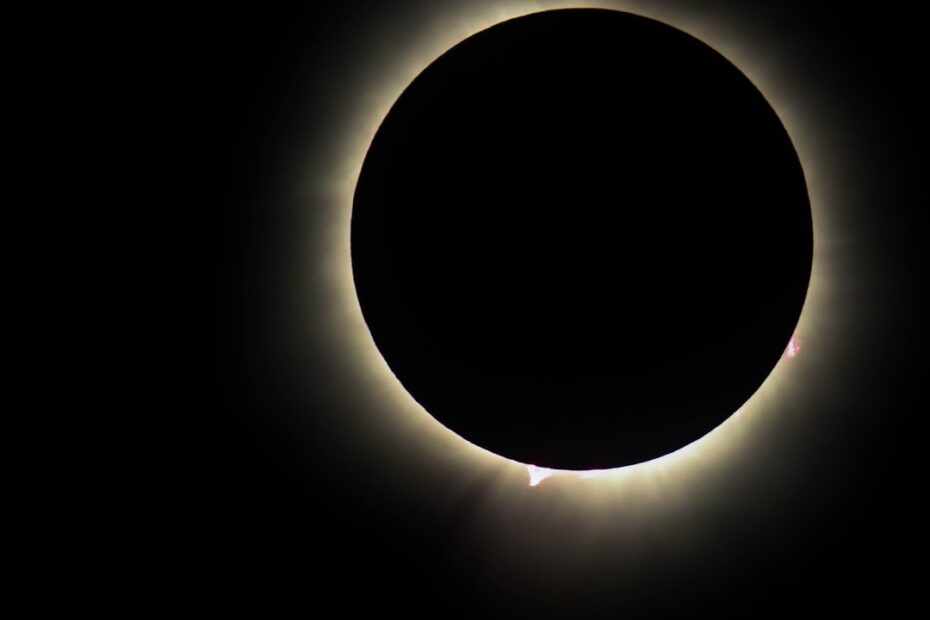 Het beste energiecontract met zonnepanelen kiezen: zo maak je de juiste keuze