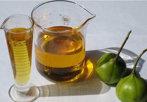 Tungolie: de meest duurzame houtbescherming voor binnen en buiten